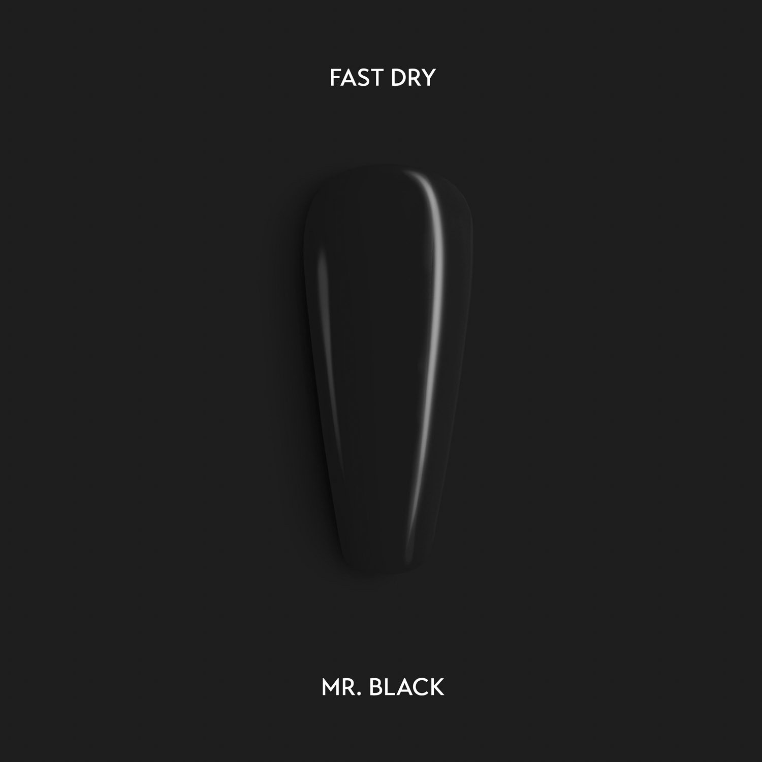 fast_dry_mr._black