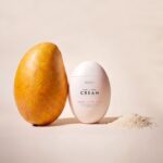 mango_sticky_rice_00